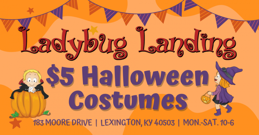 Ladybug Landing Kids Halloween Costume Sale